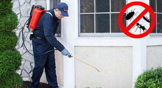 Tavşanlı Gümüşkurt İlaçlama böcek ilaçlama ve haşere kontrolü — ilaclama-tr.com
